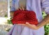 Red Raffia Handwoven Clutch